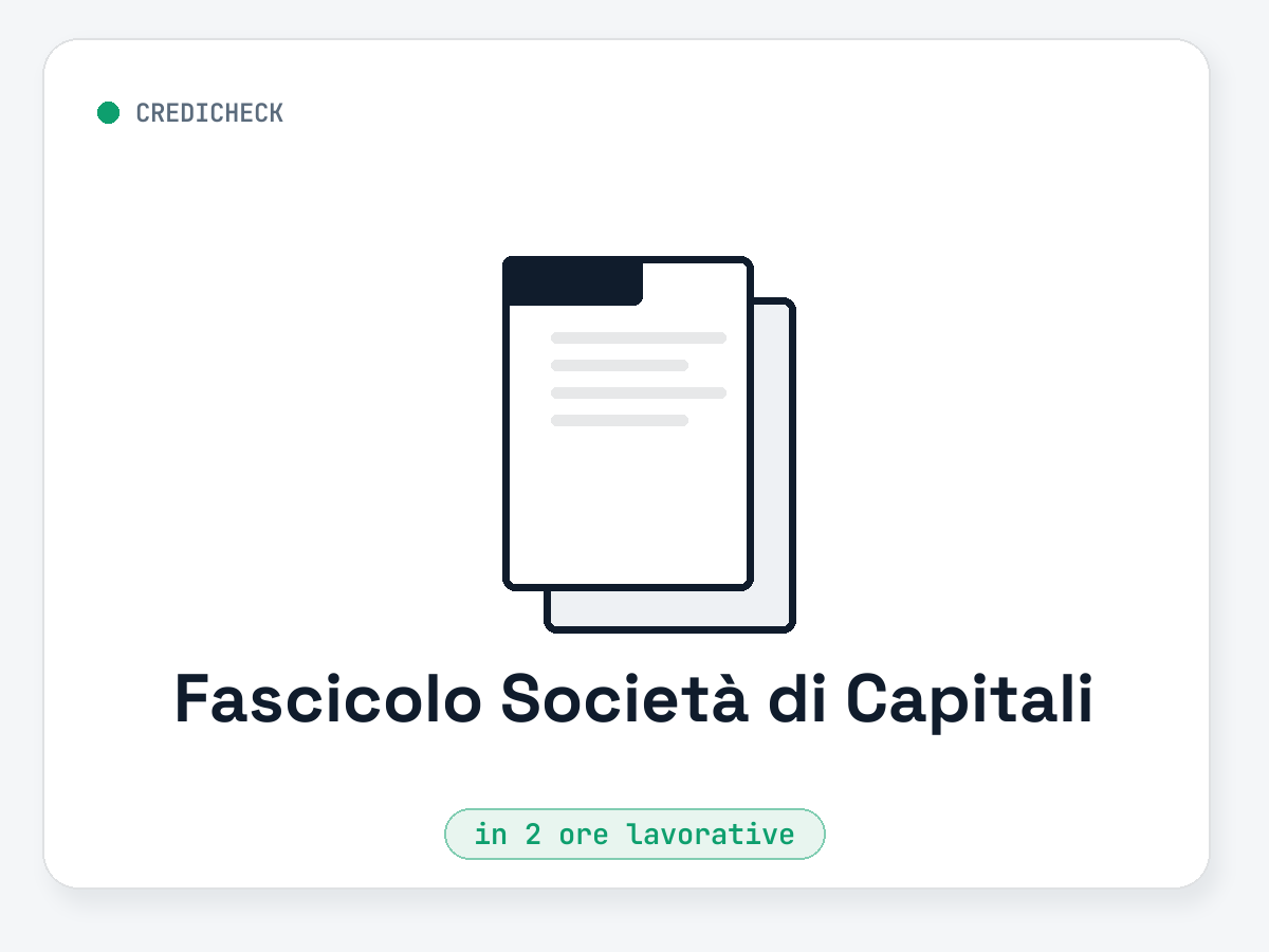 Fascicolo Società di Capitali