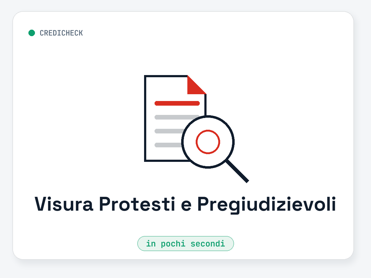 Visura Protesti e Pregiudizievoli